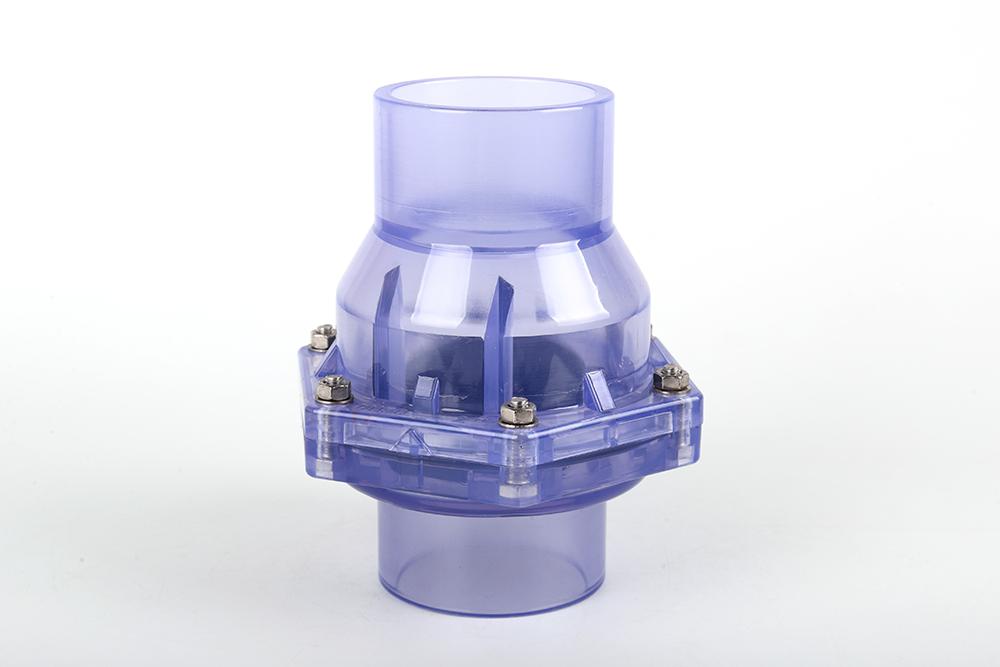 沧州透明翻板式止回阀